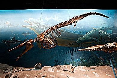 单人跑团RPG《胡言山的魔理沙》最新PV以及序章体验版现已发布！